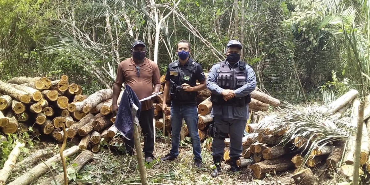 Polícia Militar apreende carregamento de madeira ilegal em São João do Sóter