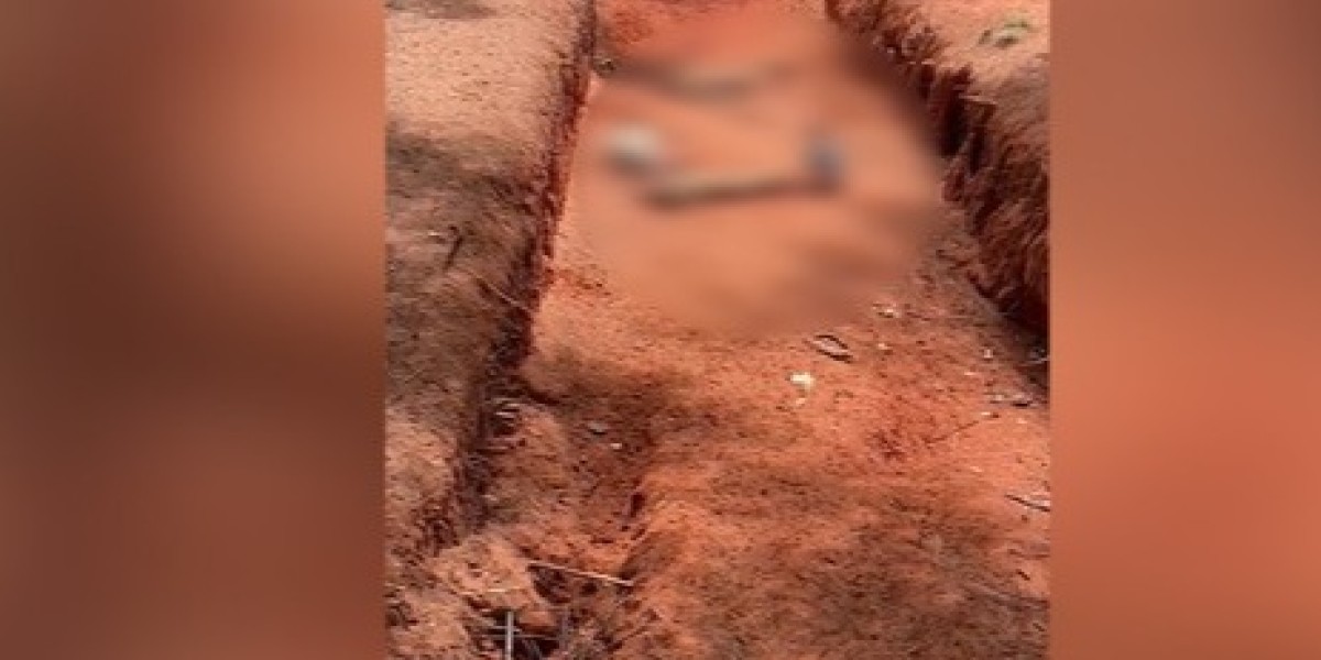 Extermínio de cachorros de rua é flagrado na cidade de Estreito no Maranhão 