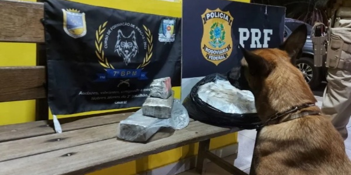 Cão farejador encontra drogas escondidas em bagagem com destino a Caxias