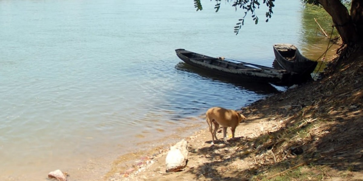 Corpo de mulher é encontrado boiando no rio Parnaíba, em Teresina