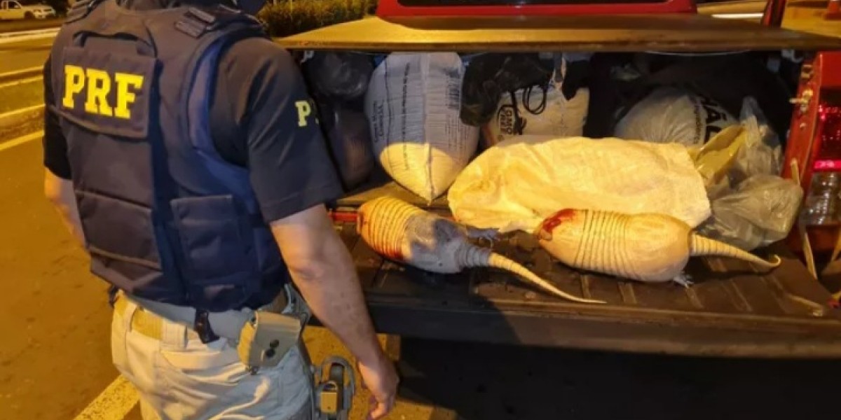 PRF apreende tatus mortos na BR-316 em Caxias