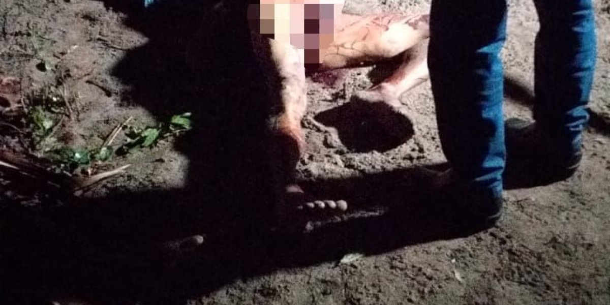 Enteado mata padrasto a facadas no povoado Capão em Caxias