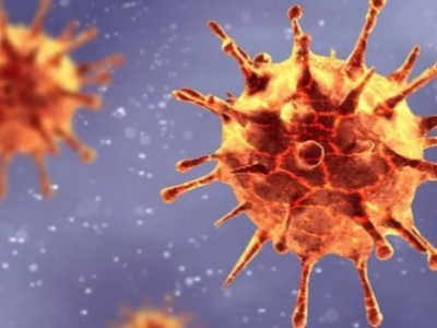 Cartórios registram aumento de 120% nos óbitos de pessoas entre 30 e 39 anos no Maranhão