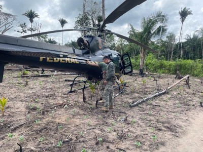 85 mil pés de maconha são encontrados em terras indígenas pela Polícia Federal