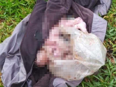 Recém-nascida ainda com cordão umbilical é encontrada dentro de sacola plástica em Codó