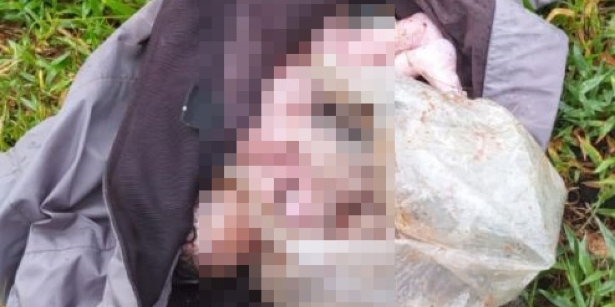 Recém-nascida ainda com cordão umbilical é encontrada dentro de sacola plástica em Codó