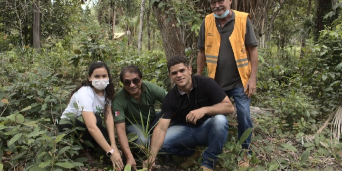 Secretaria de Meio Ambiente promove plantio de sementes no riacho São José em alusão ao Dia da Água