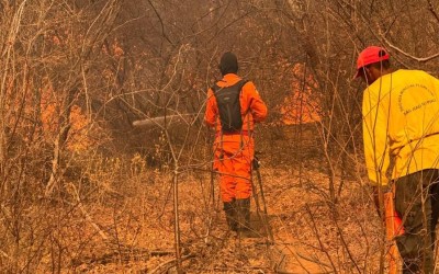 Uso do fogo fica proibido em todo o Piauí até o fim de outubro; descumprimento pode gerar multa