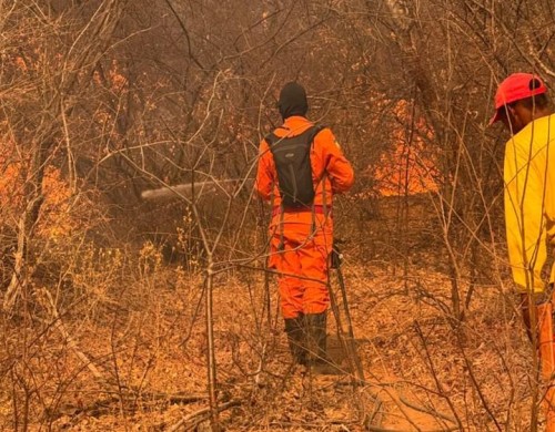 Uso do fogo fica proibido em todo o Piauí até o fim de outubro; descumprimento pode gerar multa