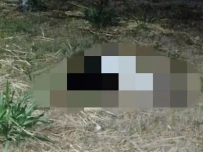 Mulher é morta a facadas em Ribamar Fiquene,  interior do Maranhão