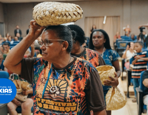 Encontro Regional das Quebradeiras de Coco reforça importância econômica do babaçu