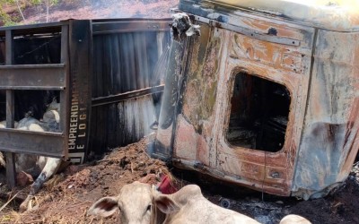 Populares retiram bois de carreta incendiada após grave acidente na BR-135, em Paraibano