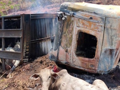 Populares retiram bois de carreta incendiada após grave acidente na BR-135, em Paraibano