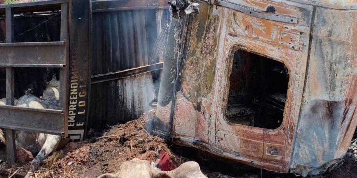 Populares retiram bois de carreta incendiada após grave acidente na BR-135, em Paraibano