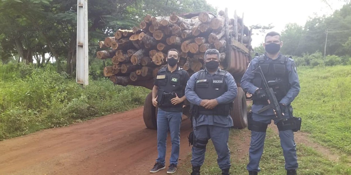 Polícia Militar apreende carregamento ilegal de madeira durante operação integrada em São João do Sóter 