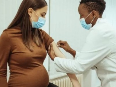 Entidades recomendam vacina contra a Covid-19 para gestantes, diabetes, obesidade e hipertensão arterial