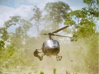 PF destrói 44 toneladas de maconha no Maranhão