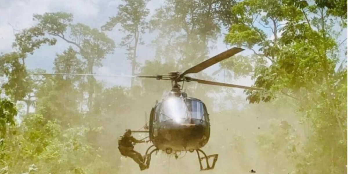 PF destrói 44 toneladas de maconha no Maranhão