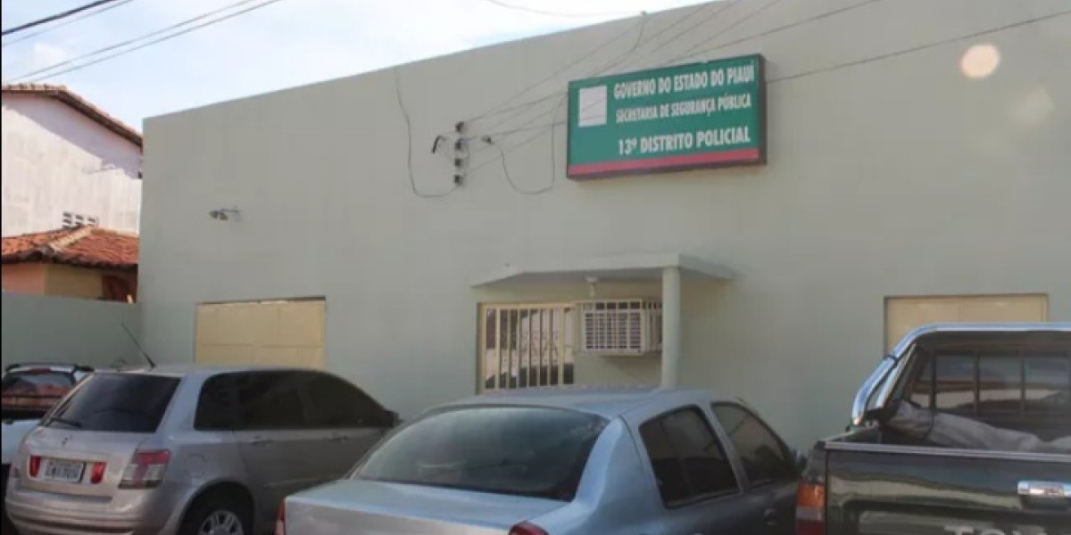 Empresária é presa suspeita de fraudar documento de imóvel incluído na herança da mãe em Teresina