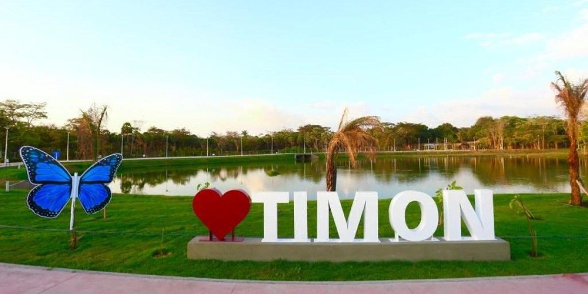 Projeto “Timon Mais Verde” propõe expansão da arborização urbana