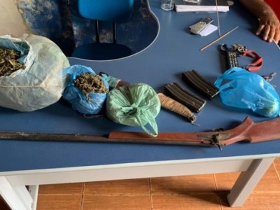 Polícia encontra plantação de maconha entre pés de milho e feijão no Maranhão 