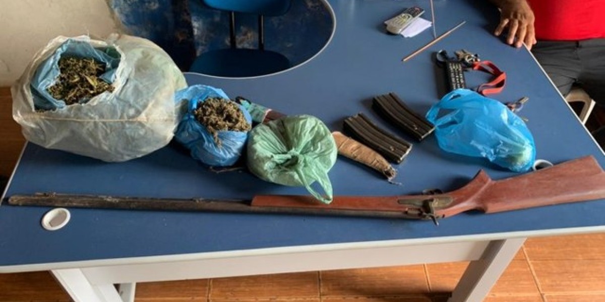 Polícia encontra plantação de maconha entre pés de milho e feijão no Maranhão 