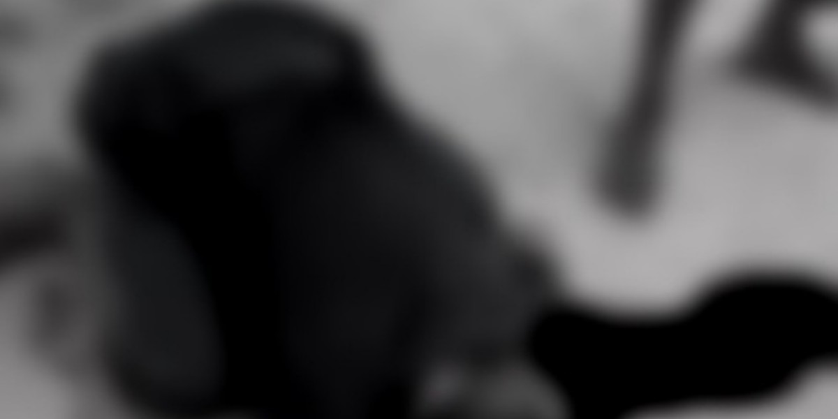 Briga entre vizinhos termina com um morto na zona rural de Pinheiro