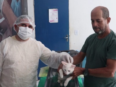 UPA Veterinária realiza mutirão de castração de cães e gatos, em Caxias 