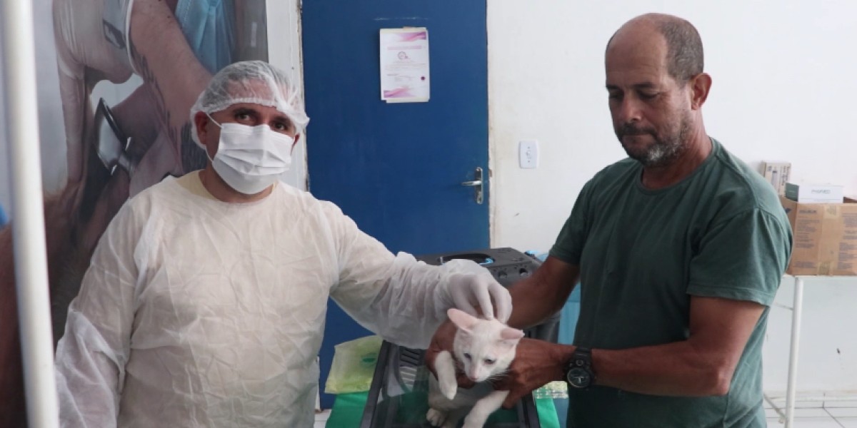 UPA Veterinária realiza mutirão de castração de cães e gatos, em Caxias 