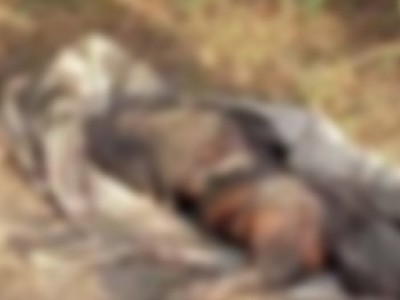 Suspeito de integrar facção criminosa é encontrado morto em Paço do Lumiar