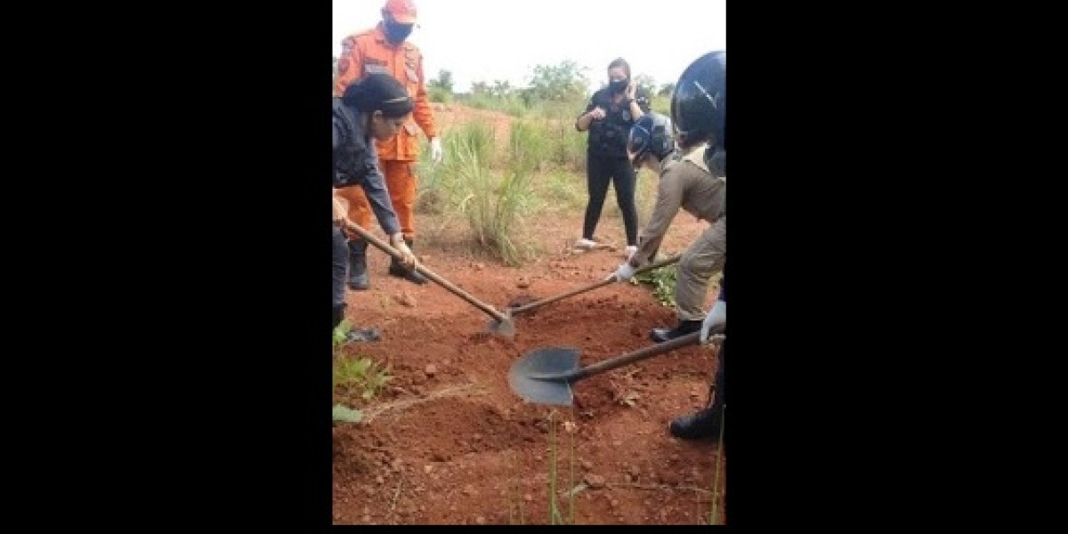 10 pessoas são indiciadas por mortes de jovens que cavaram a própria cova em Timon