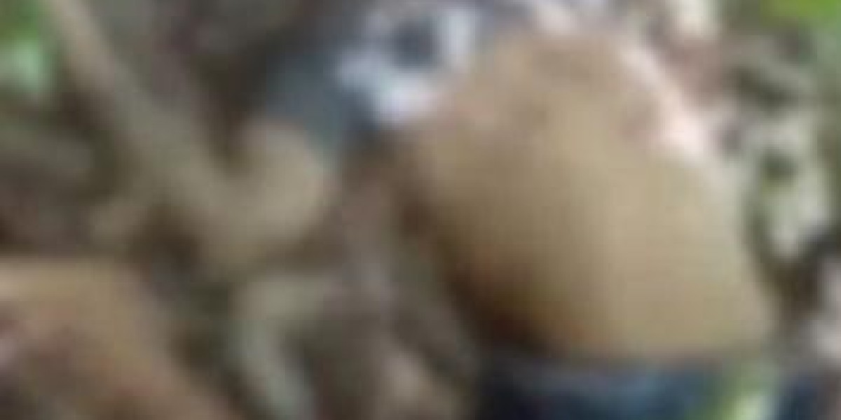 Polícia investiga assassinato de jovem em Caxias