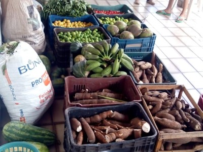Prefeitura entrega alimentos adquiridos pelo PAA para famílias em Aldeias Altas