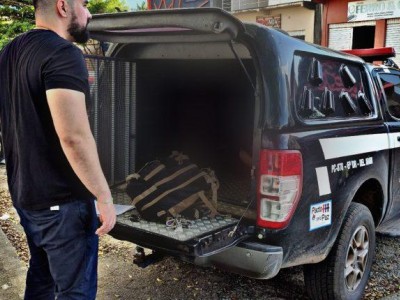 Homem conhecido por furtos é preso em flagrante em Arari