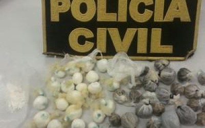 Rato treinado para transportar drogas é descoberto em presídio no Tocantins