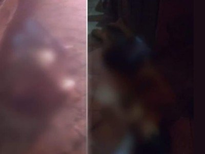 Avô e neto são executados a tiros na cidade de Açailândia