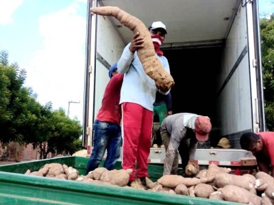 Agricultores familiares recebem benefícios de indústria em Gonçalves Dias 