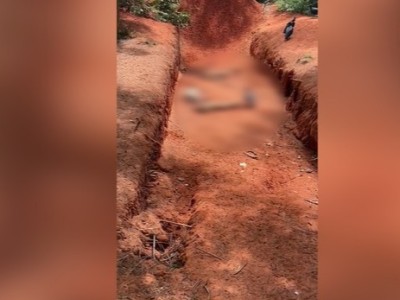 Extermínio de cachorros de rua é flagrado na cidade de Estreito no Maranhão 