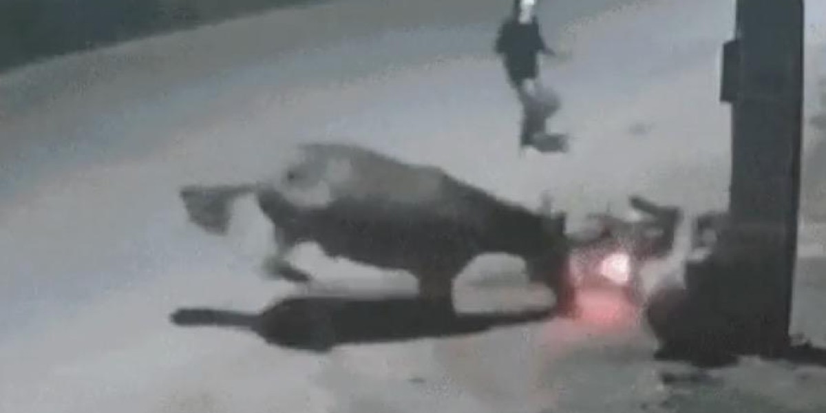 Cavalo solto na pista provoca queda de motociclista e acaba facilitando assalto em Imperatriz