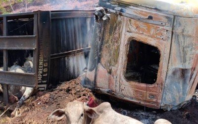 Populares retiram bois de carreta incendiada após grave acidente na BR-135, em Paraibano