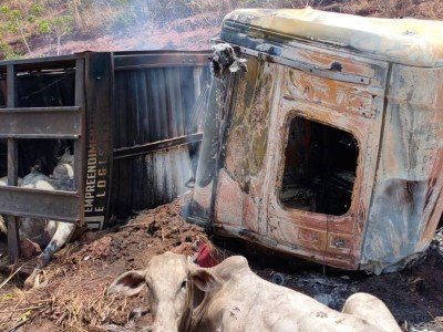 Populares retiram bois de carreta incendiada após grave acidente na BR-135, em Paraibano