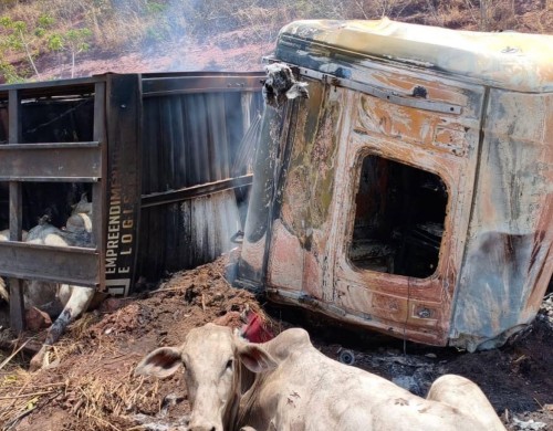 Populares retiram bois de carreta incendiada após grave acidente na BR-135, em Paraibano