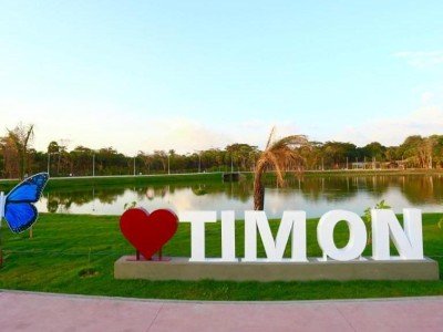 Projeto “Timon Mais Verde” propõe expansão da arborização urbana