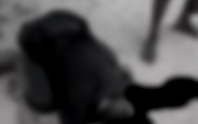 Briga entre vizinhos termina com um morto na zona rural de Pinheiro